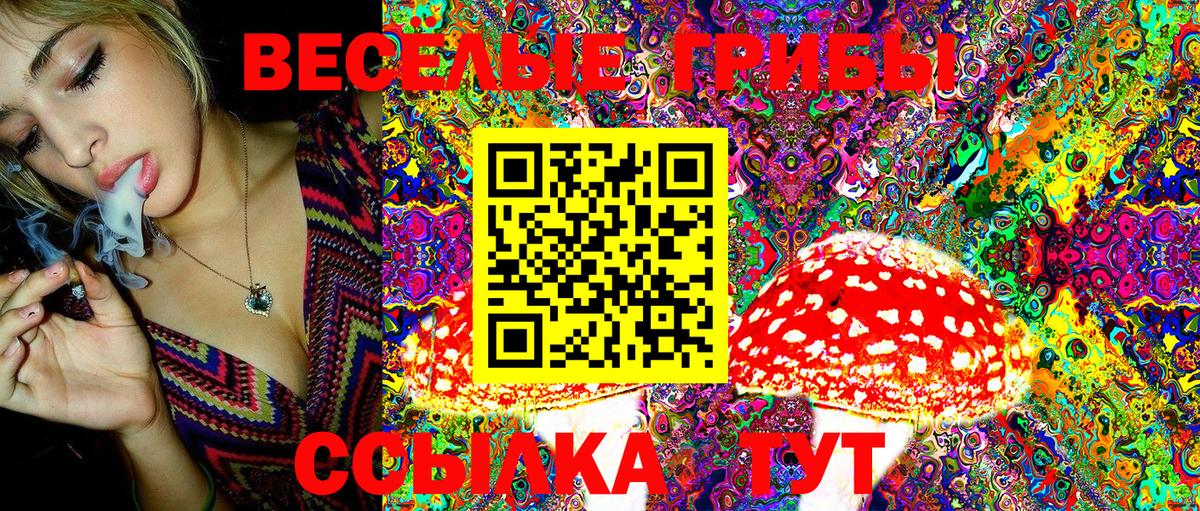 Галлюциногенные грибы MAGIC MUSHROOMS Шатура